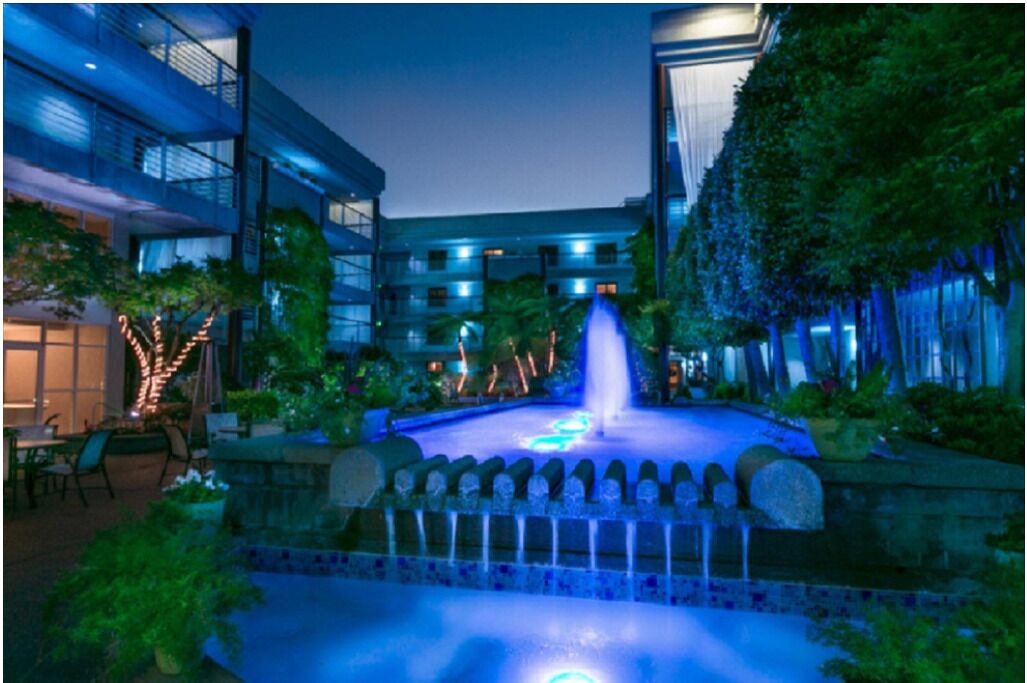 Photo of Outdoor in Cupertino