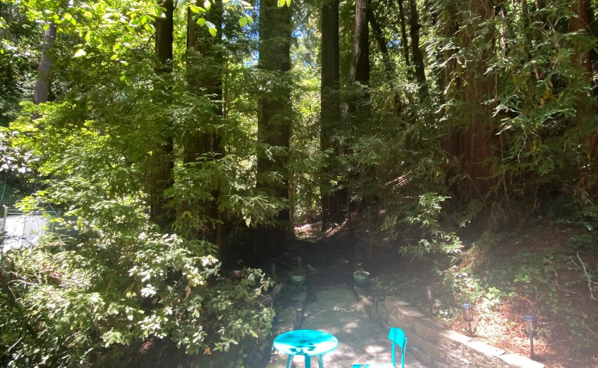 Photo of Outdoor in Los Gatos