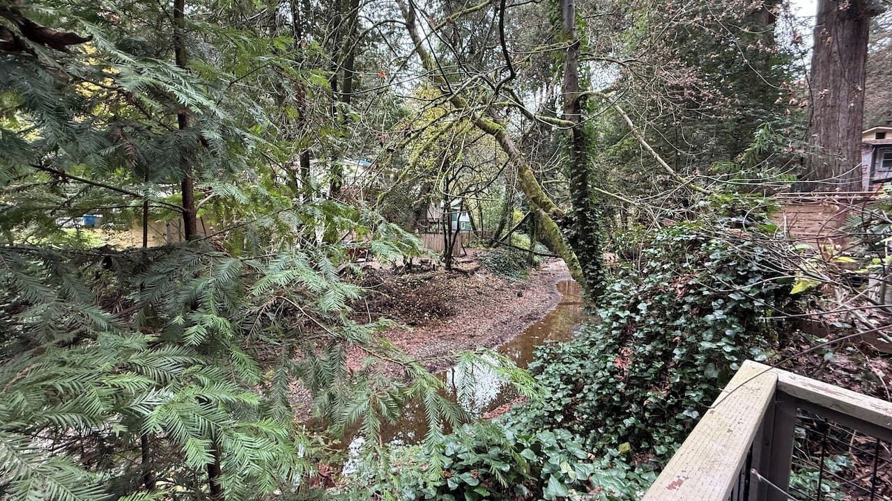 Photo of Outdoor in Guerneville