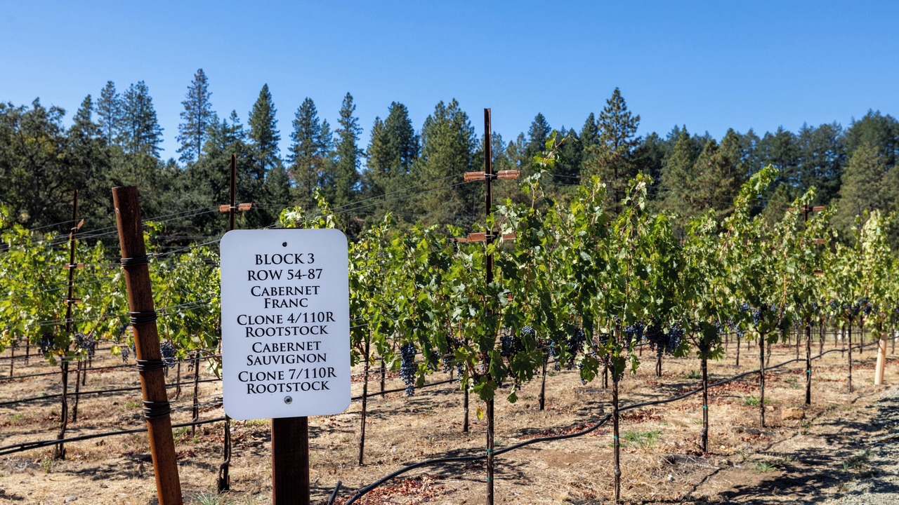Photo of Others in Angwin
