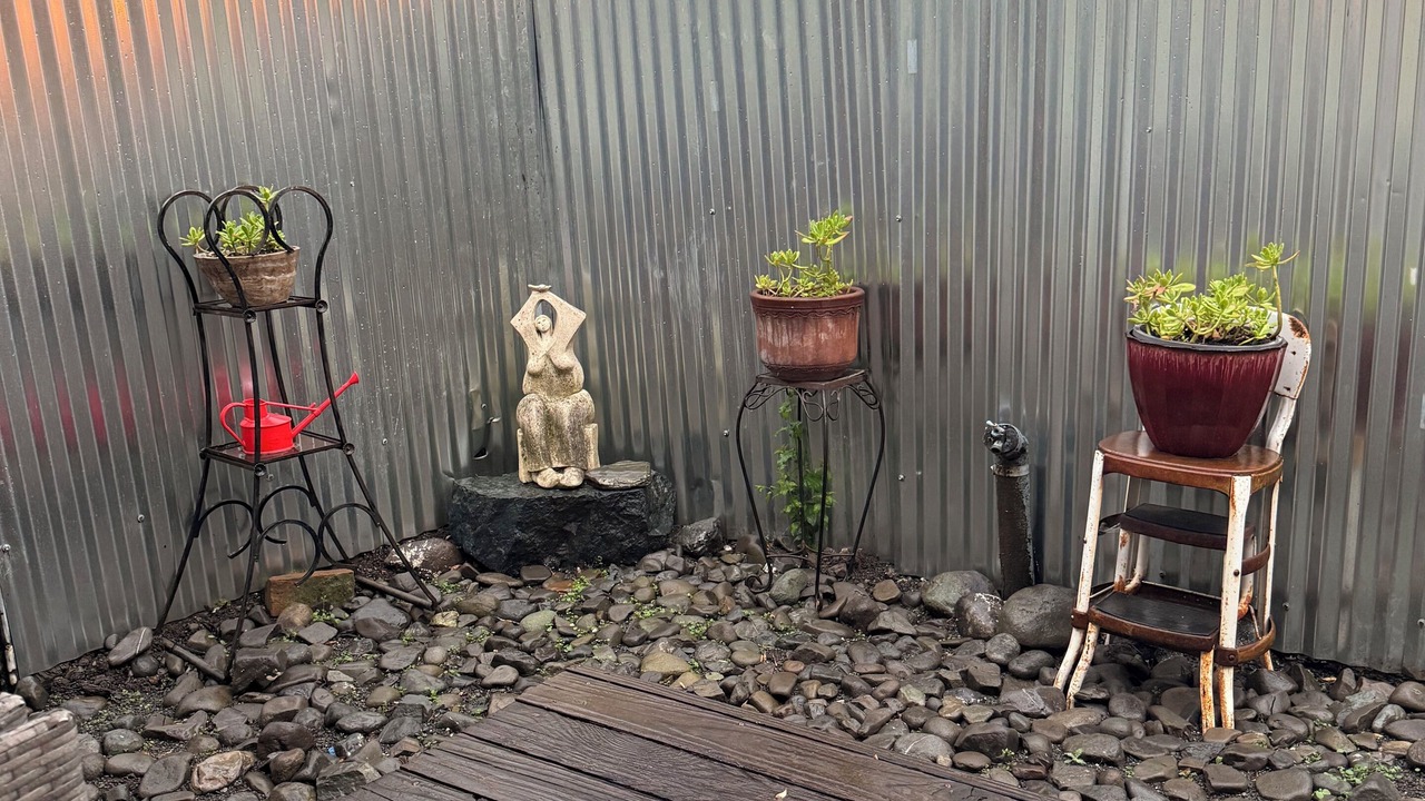 Photo of Outdoor in Willits