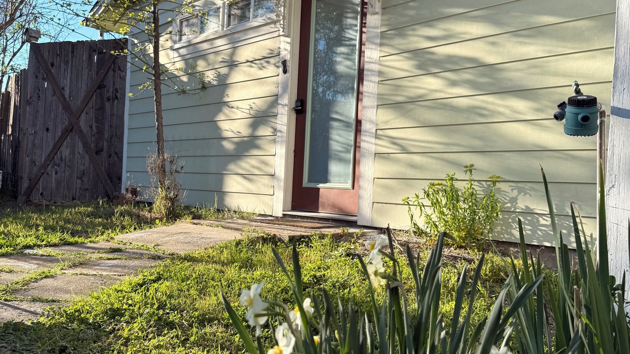 Photo of Outdoor in Willits
