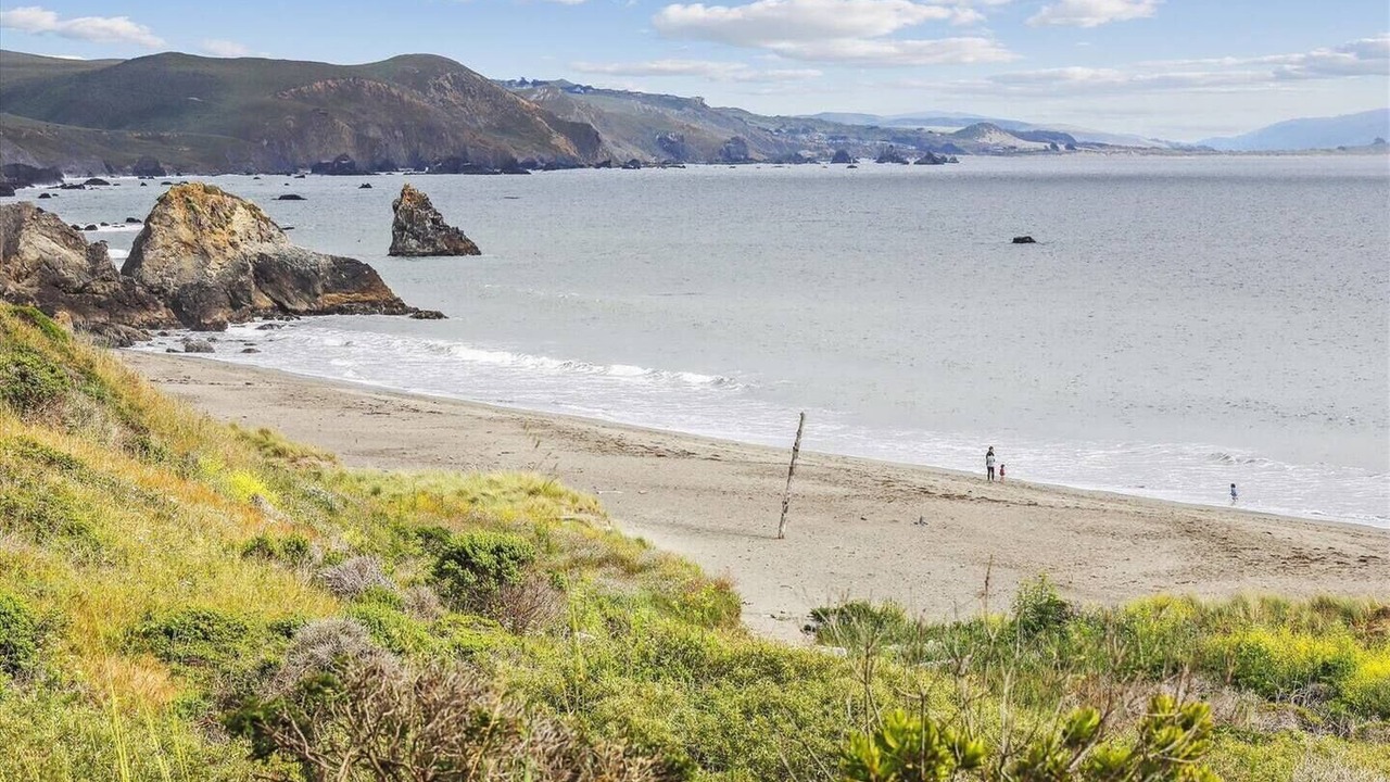 Photo of Others in Bodega Bay