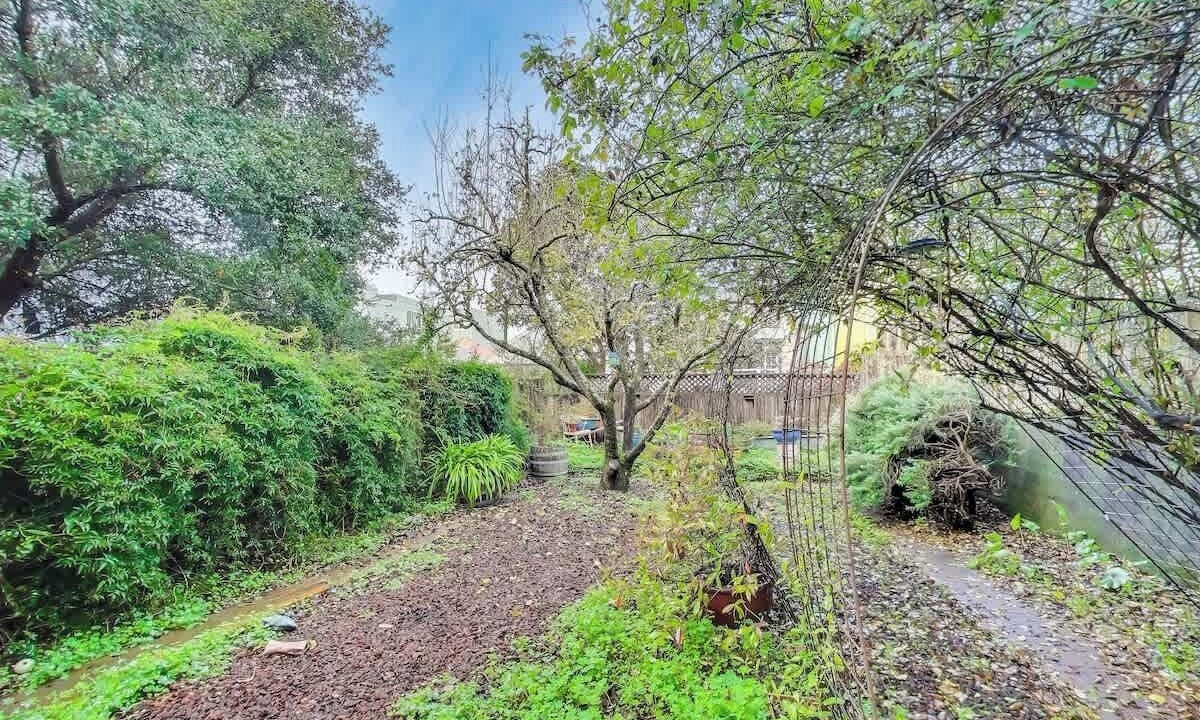 Photo of Outdoor in Lone Mountain