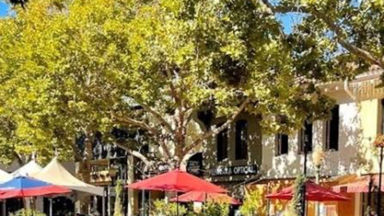 Photo of Outdoor in North Fair Oaks