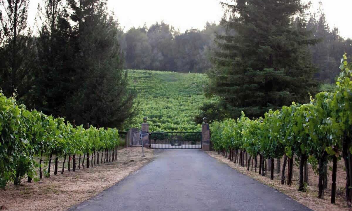 Photo of Outdoor in Freestone