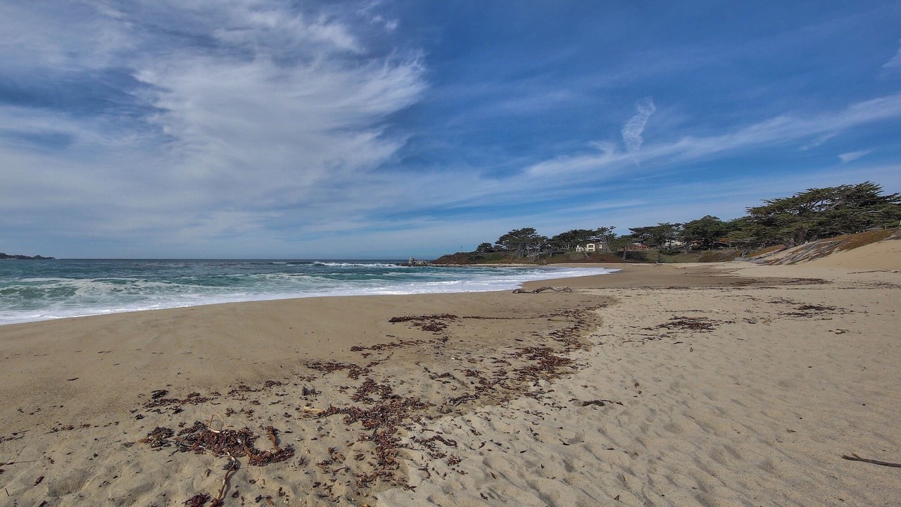 Photo of Others in Carmel Point