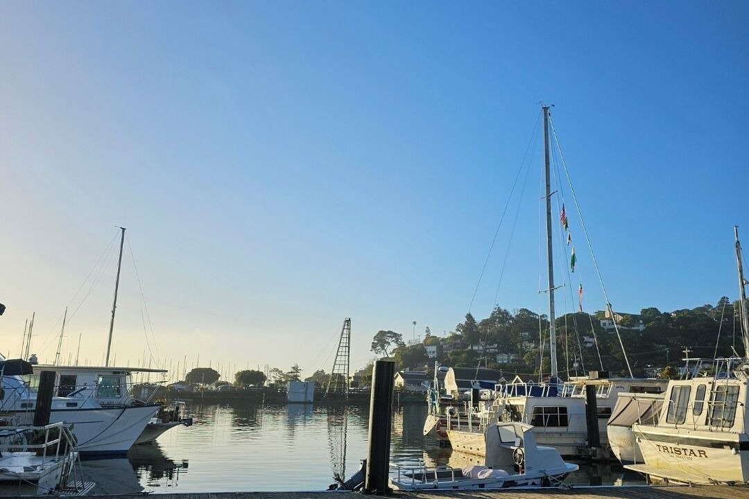 Photo of Others in Sausalito