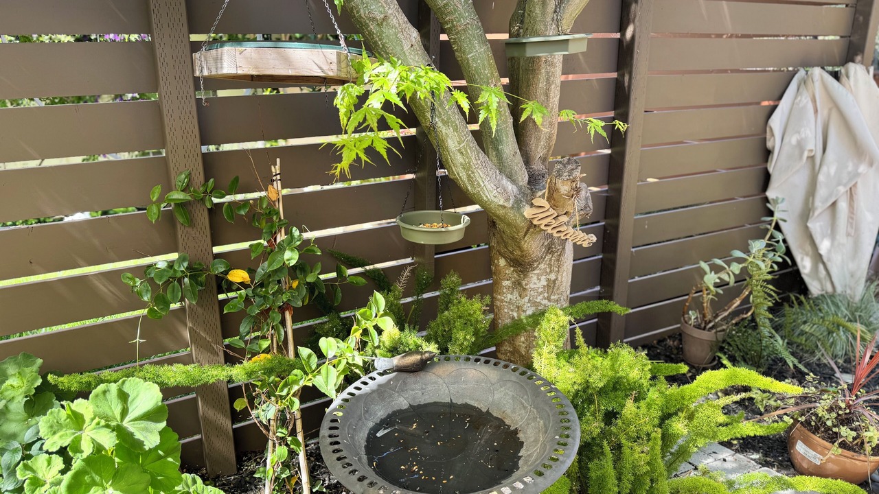 Photo of Outdoor in Mill Valley