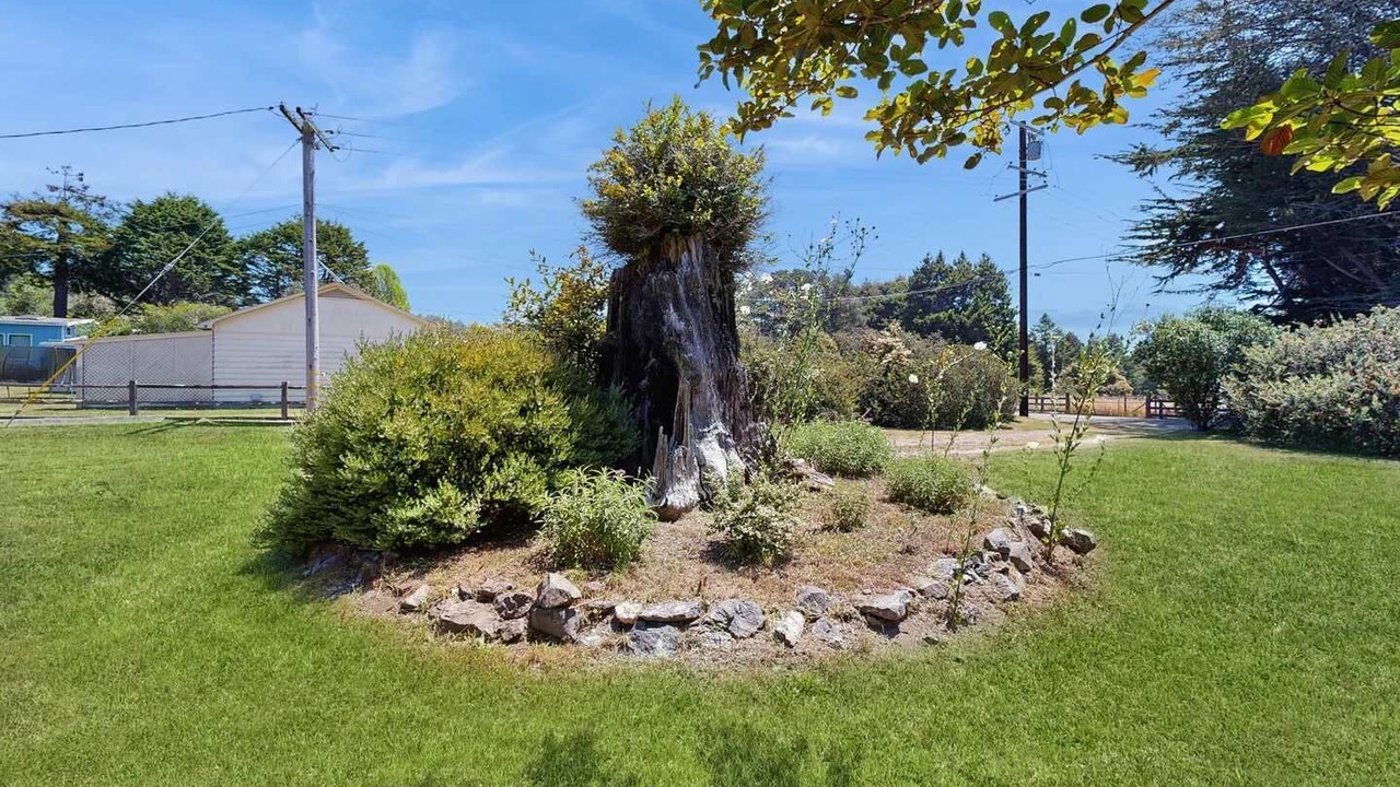 Photo of Outdoor in Cleone