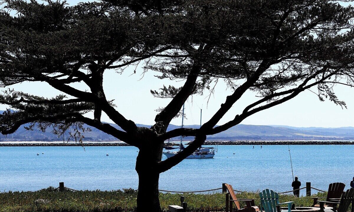 Photo of Outdoor in El Granada
