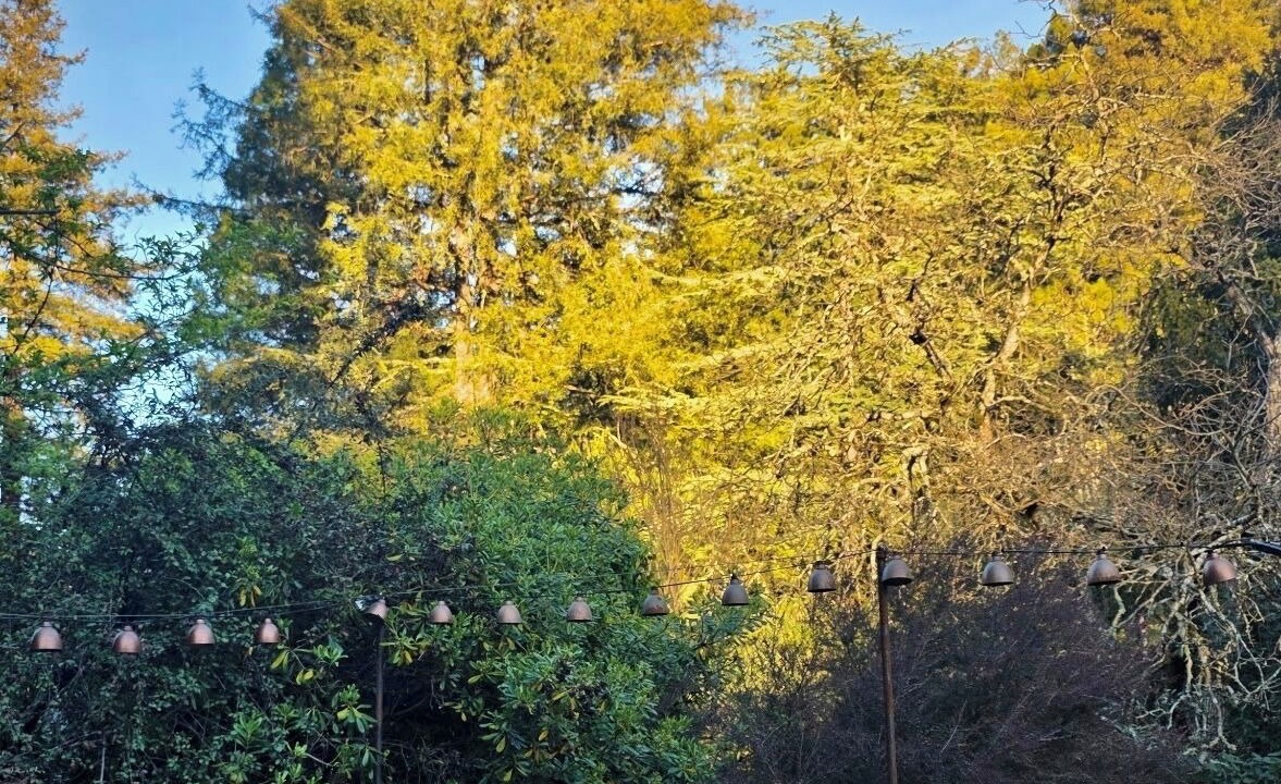 Photo of Outdoor in Hacienda