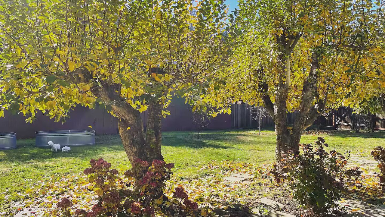Photo of Outdoor in Hacienda