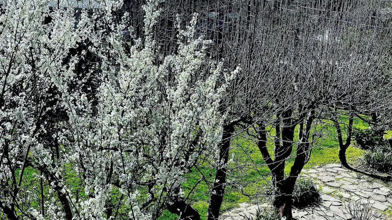 Photo of Outdoor in Hacienda