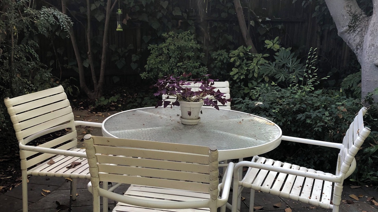 Photo of Outdoor in The Willows