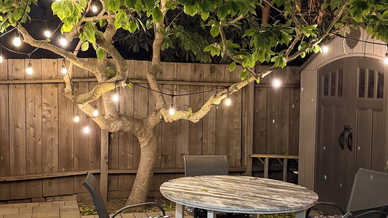 Photo of Outdoor in East Palo Alto