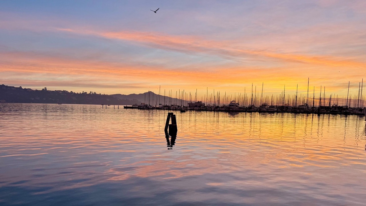 Photo of Others in Sausalito