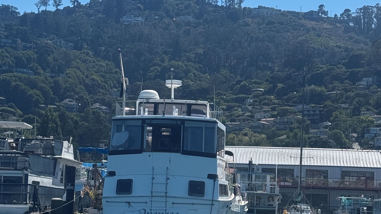 Photo of Others in Sausalito