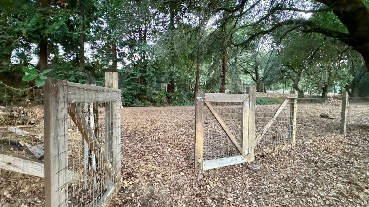 Photo of Outdoor in Freestone