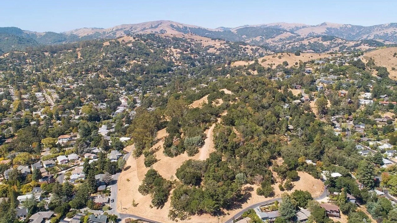 Photo of Outdoor in San Anselmo
