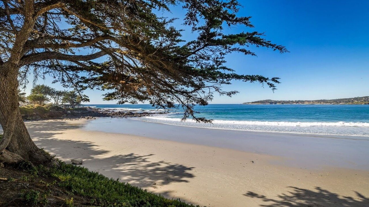 Photo of Others in Carmel