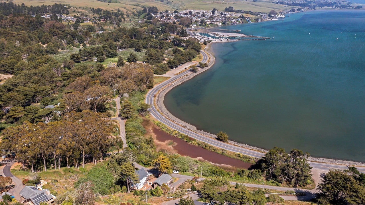 Photo of Outdoor in Bodega Bay
