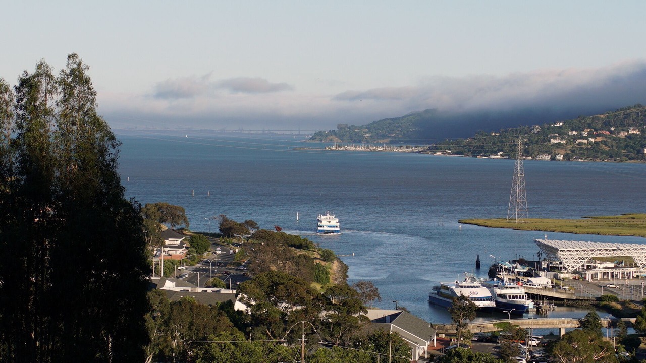 Photo of Others in San Rafael