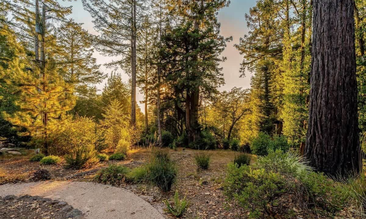 Photo of Outdoor in Freestone
