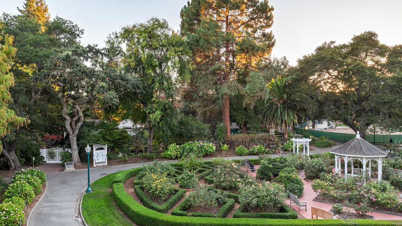 Photo of Outdoor in Central San Mateo