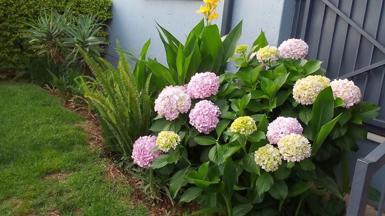 Photo of Outdoor in Pretoria