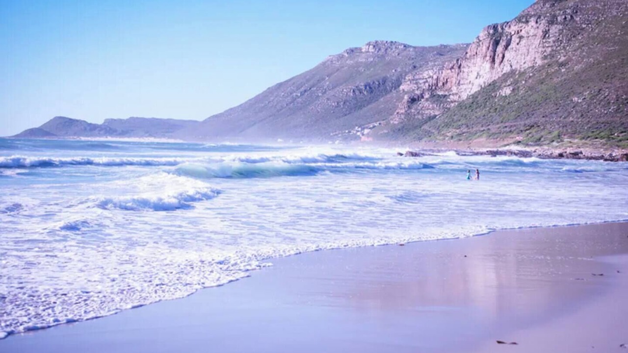 Photo of Others in Cape Peninsula