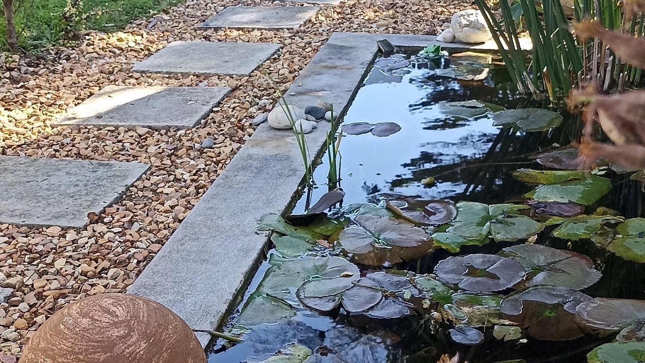 Photo of Outdoor in Kommetjie