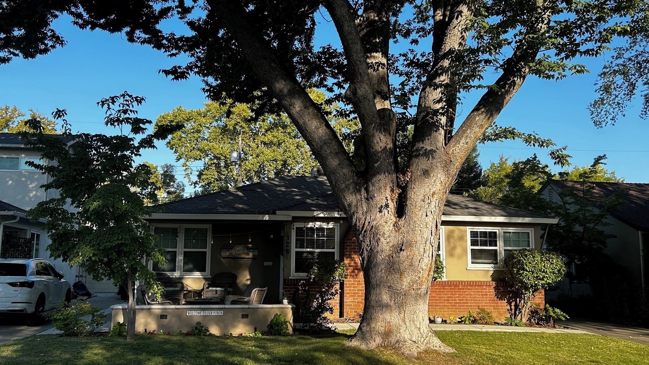 Photo of Outdoor in East Sacramento