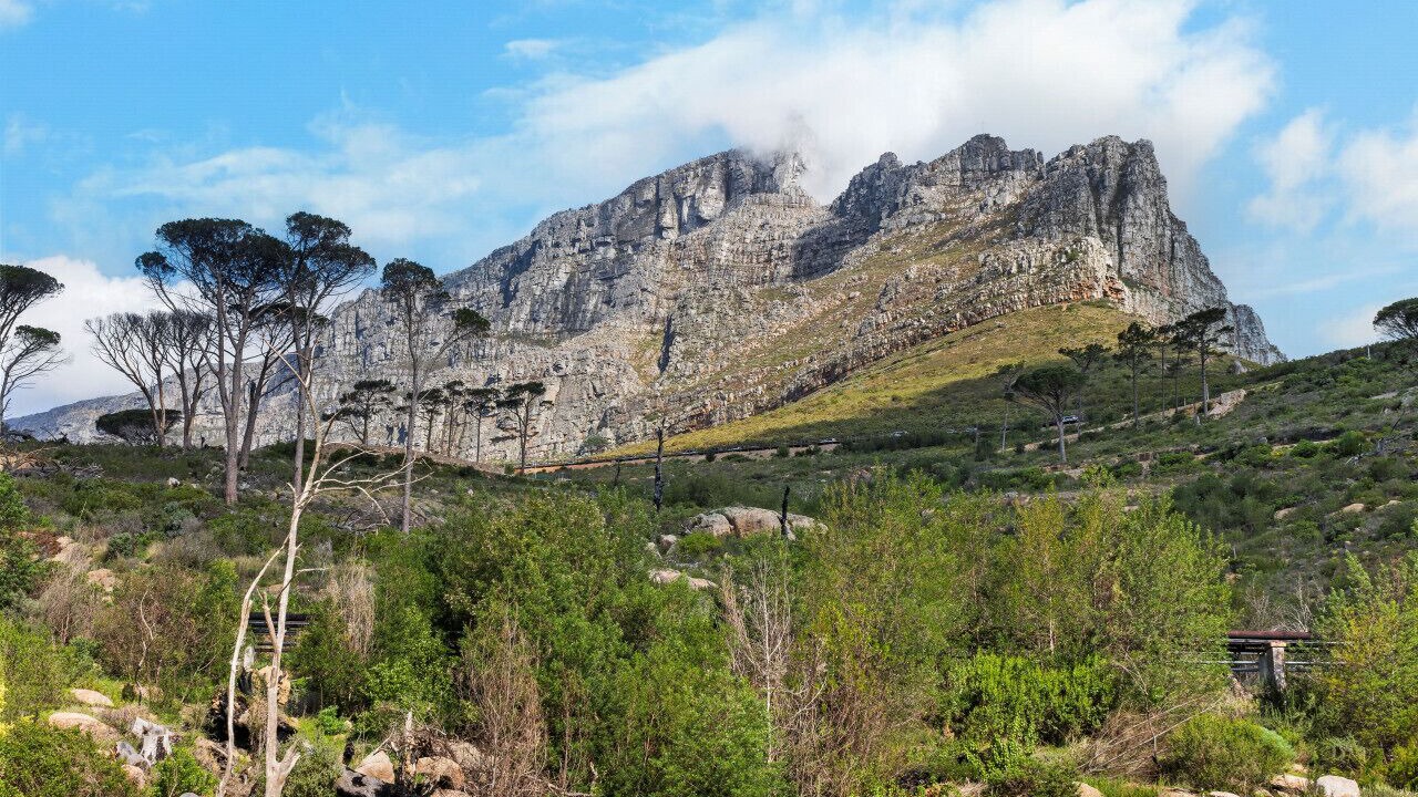 Photo of Others in Cape Town City Centre