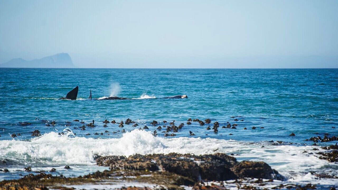 Photo of Others in Kalk Bay
