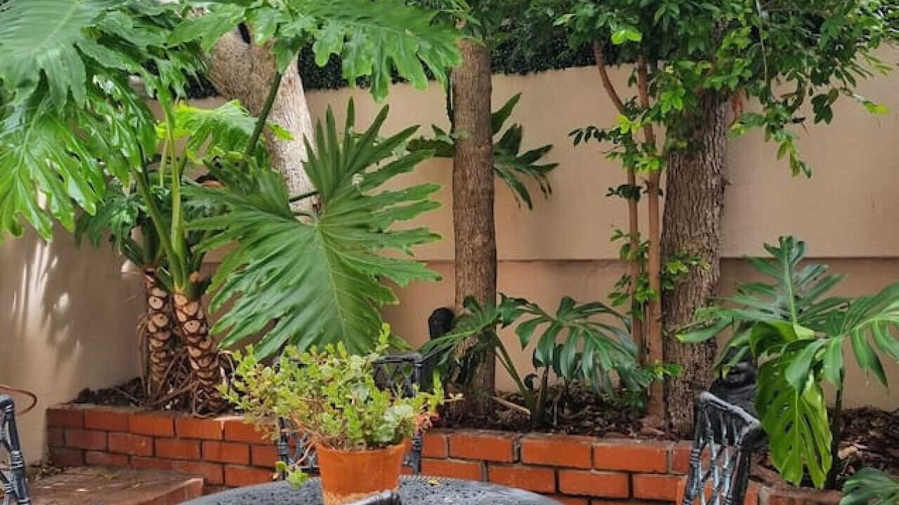 Photo of Outdoor in Sea Point
