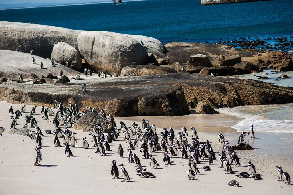 Photo of Others in Marina da Gama