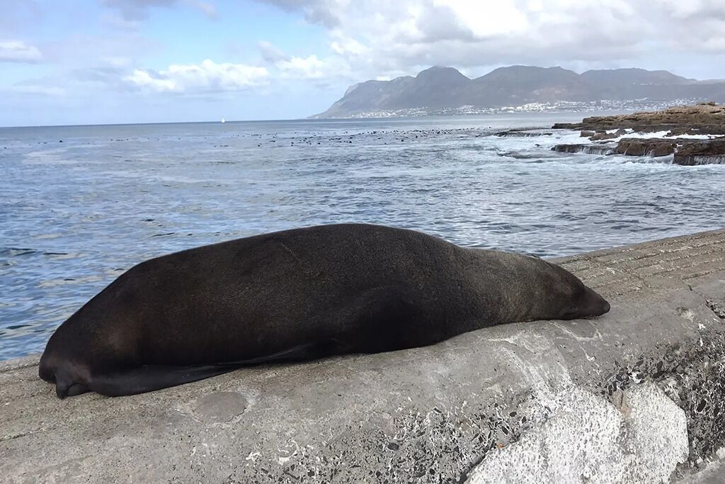 Photo of Others in Marina da Gama