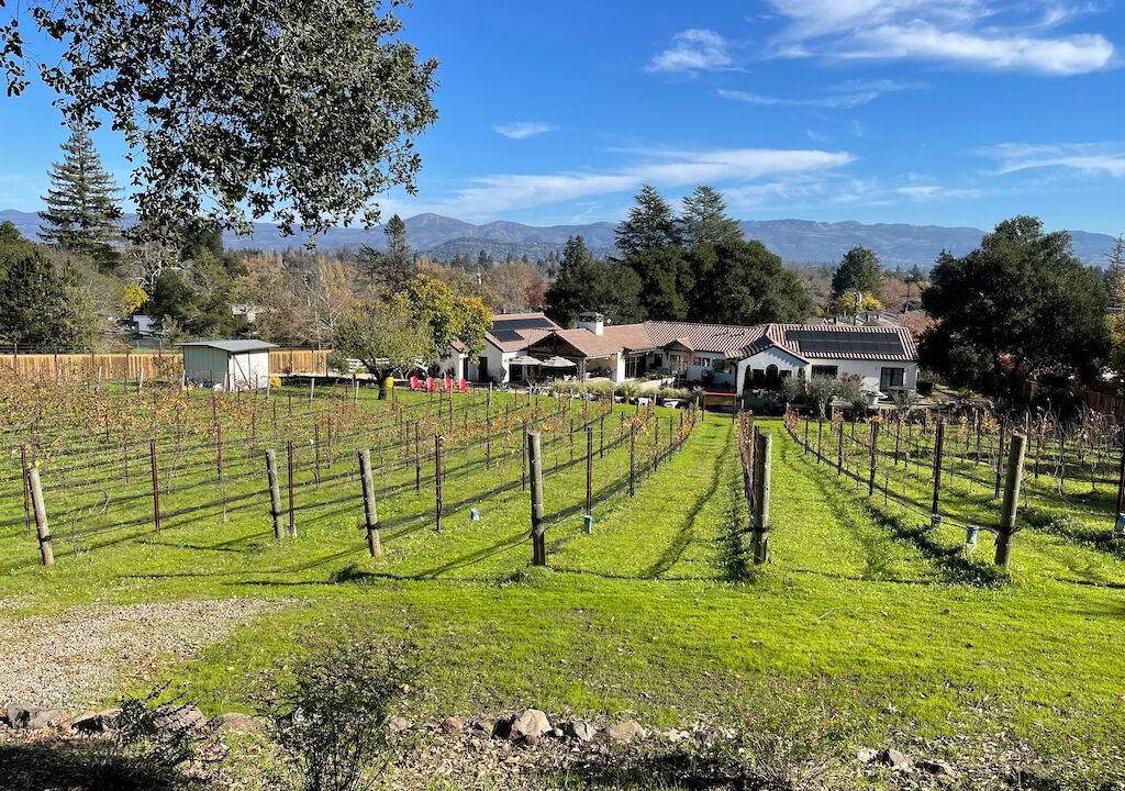 Photo of Others in Napa
