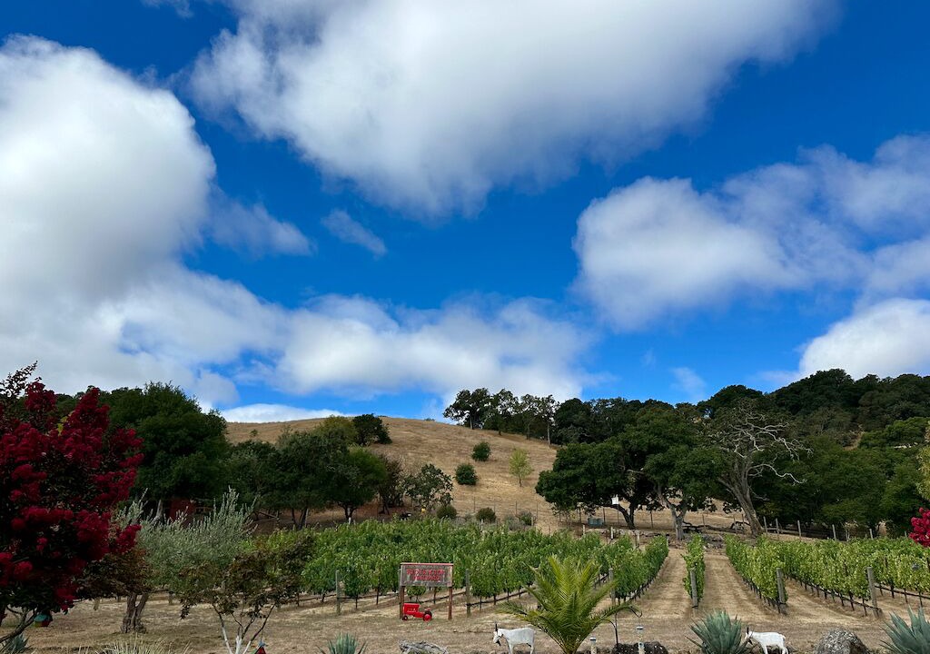Photo of Others in Napa