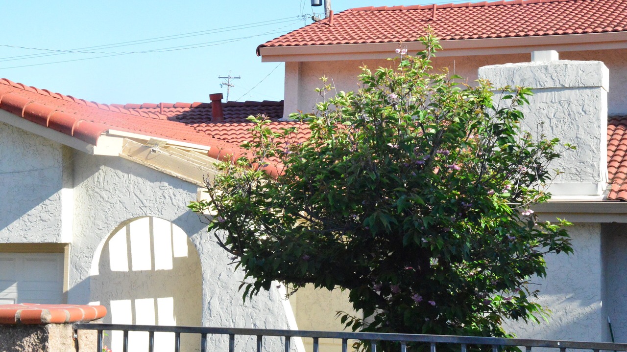 Photo of Others in Edenvale