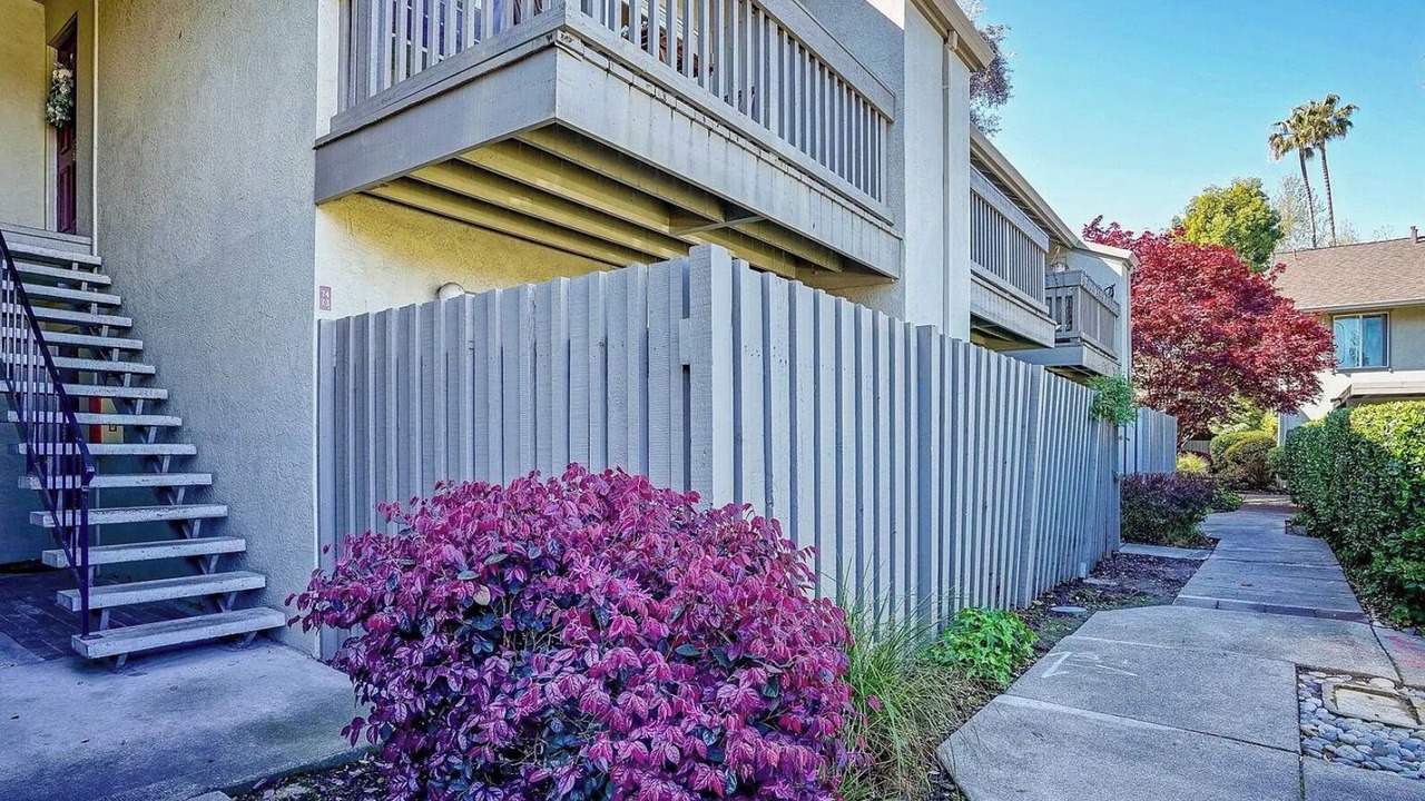 Photo of Outdoor in Walnut Creek
