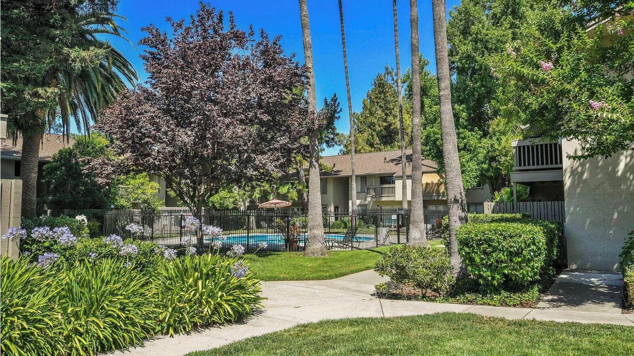 Photo of Outdoor in Walnut Creek