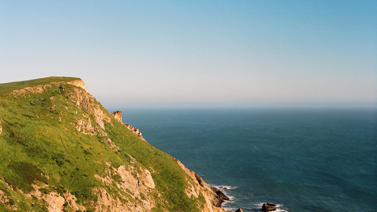 Photo of Others in Monte Rio