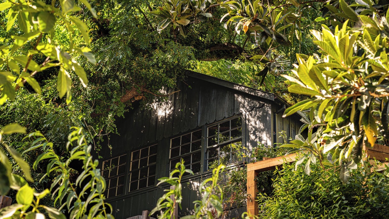 Photo of Outdoor in Monte Rio
