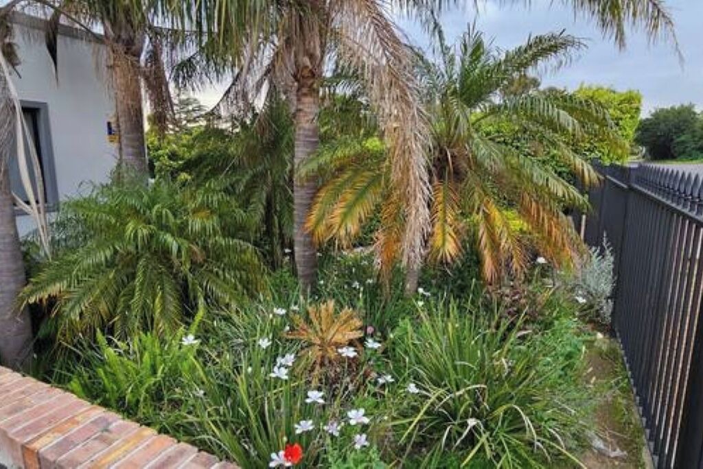 Photo of Outdoor in Atlantis