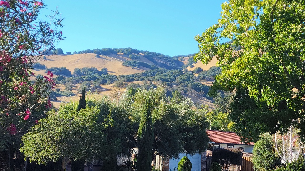 Photo of Others in Novato