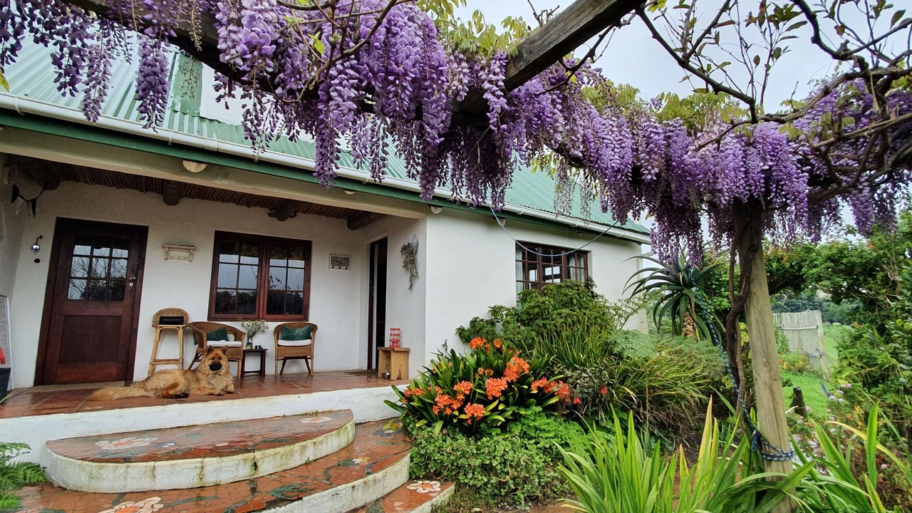 Photo of Outdoor in Baardskeerdersbos