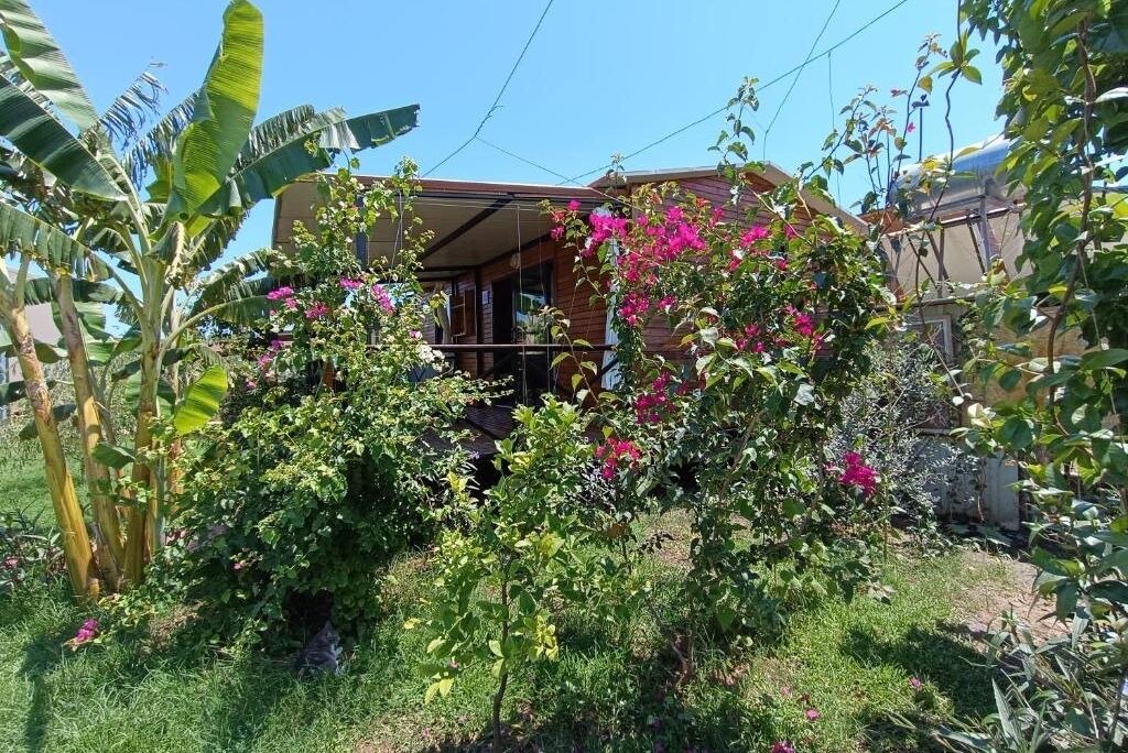 Photo of Outdoor in Cirali