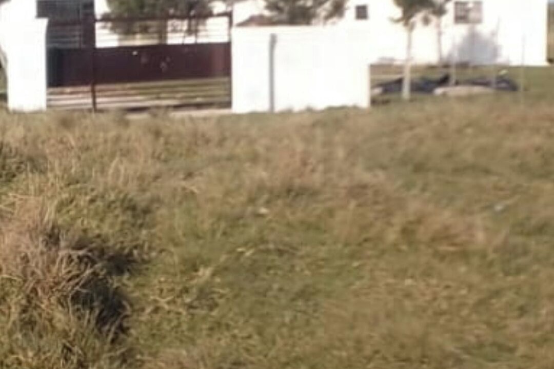 Photo of Others in Willowvale